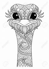 Coloring Ostrich Adults Tattoo Mandala Pages Drawings Choose Board Adult Drawn Shirt Hand Color Relaxing sketch template