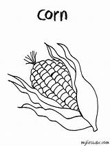 Corn Coloring Drawing Template Stalk Stalks Indian Getcolorings Getdrawings Popular sketch template