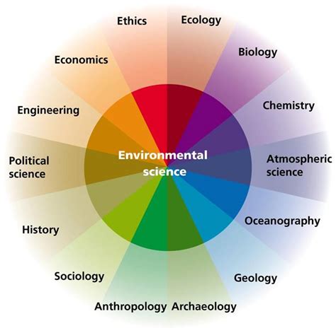 blogging   field thoughts   environmental scientist