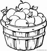 Coloring4free Apple Coloring Pages Apples Basket Related Posts sketch template