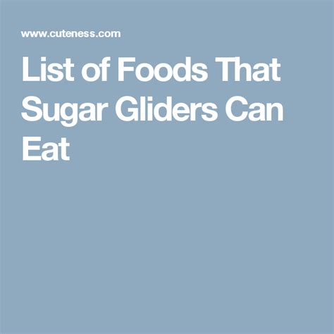 list  foods  sugar gliders  eat sugar glider diet sugar glider sugar glider care