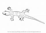 Lizard Draw Drawing Step Lizards Drawings Reptile Learn Tutorials Drawingtutorials101 Animals Choose Board Tutorial Leg sketch template