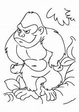 Gorilla Affe Affen Ausmalbilder Colorir Monyet Macacos Ausmalbild Grodd Magilla Parentune Kertas Mewarna Howler Monkeys Kidipage Bestcoloringpages Tiere Haiwan sketch template