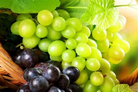 health problem      cup  grapes todaytips