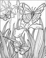 Dover Samples Adultos Haven Insect Tsgos Adulte Jardim Wings Artigo Atividadesparaprofessores Britto Romero Obras sketch template
