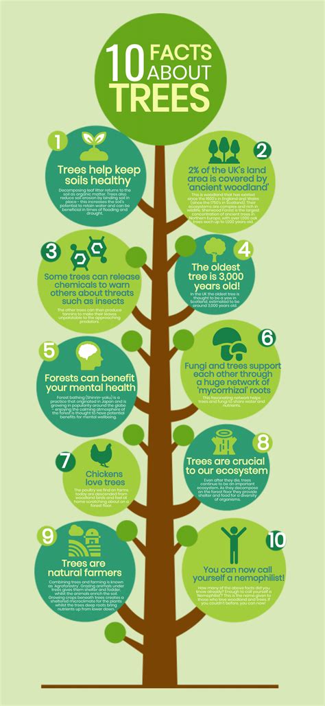 tips  jazz   science classroom  infographics