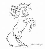 Horse Rearing Lineart Draw Horses Coloring Drawings Drawing Pages Line Bucking Deviantart Sketch Color Print Printable Hoeses Pencil Google Getcolorings sketch template