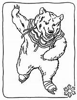 Bear Coloring Pages Printable Bears Color Kids Wild Bestcoloringpagesforkids sketch template