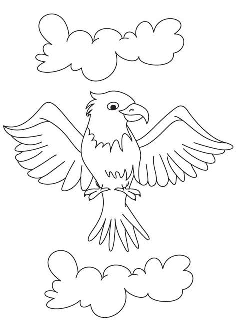 cartoon eagle coloring page   cartoon eagle coloring page