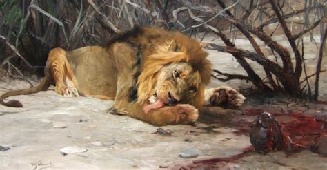 do lions eat people quora