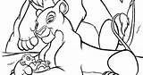 Nala Coloring Pages Simba Proud Lion Parents sketch template