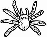Spider Coloring Pages Tarantula Kids Spin Spiders Colouring Color Peuters Animals Easy Kleurplaat Printable Bestcoloringpagesforkids Sheets Supercoloring sketch template