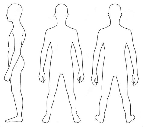 sample human body outline template   learning media  draw