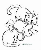 Coloring Cat Pages Printable Kids Cats Sheets sketch template