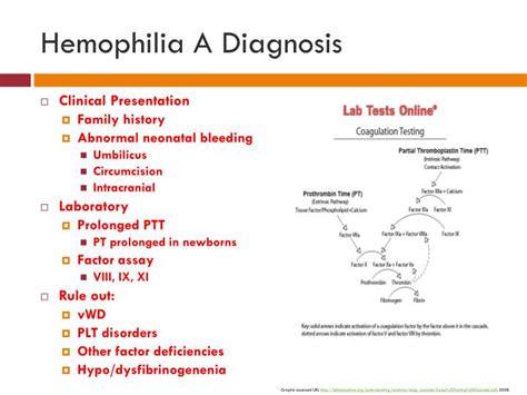ppt hemophilia royal disease powerpoint presentation id 6072579