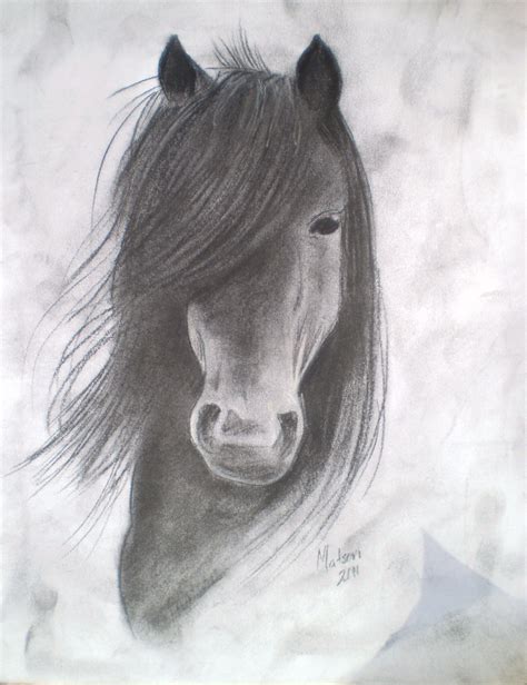 charcoal drawing  horse art pinterest