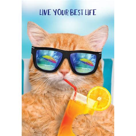 life cool cat funny birthday card