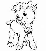 Reindeer Reno Rodolfo Craciun Mos Rudolph Renifer Kolorowanki Renos Reni Biche Colorat Animaux 1158 Dibujo Fise Planse Dzieci Coneja Renne sketch template
