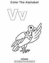 Letter Vulture sketch template