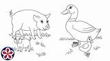 Animals Their Babies Farm Coloring Pages Teachersmag They Assortment Printables Feature Well These So sketch template