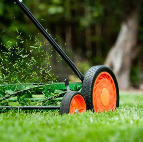 Three Treatments For A Healthy Lawn Express Digest
