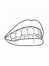 Drawing Mond Mouth Vrouwelijke Witte Denti Tanden Bouche Tand Kleurenillustratie Zwart Lijntekening Smiling Bianchi Femelle Dents Blanches Tratteggio Colori Femminile sketch template