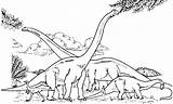 Brachiosaurus Coloring Eating Tree Drawing Branch Colony Pages Print Color Printable Getcolorings Size Getdrawings sketch template