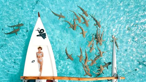 lookbook moana bikini take you on a summer escape with vivacious new range lifewithoutandy