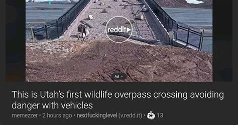 This Is Utah S First Wildlife Overpass You Re Freaking Me Out Imgur
