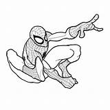 Aranha Deadpool Mewarnai Colorir Spiderman Araña Pngegg Inactivo Consorcio sketch template