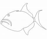 Fish Trigger Template Coloring sketch template