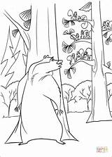 Coloring Pages Boog Behind Hiding Tree Season Open Printable Book Color Woods Bear Kids Forest Colorings Info Drawing sketch template