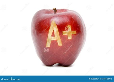 apple stock image image  good education background