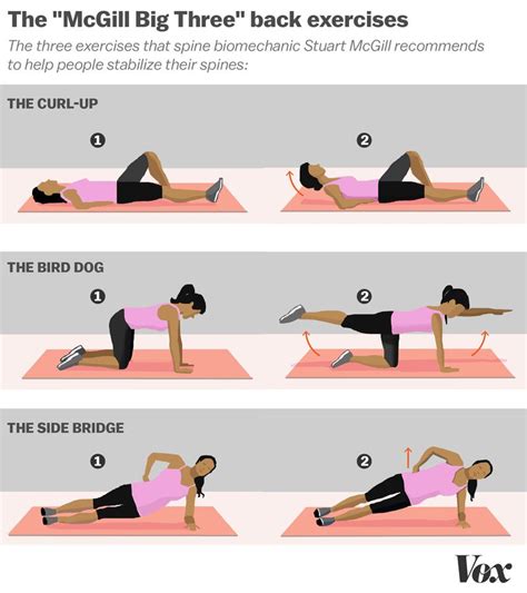 The 3 Best Exercises To Prevent Low Back Pain Mona Vale