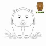 Wombat Australian sketch template