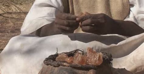 west s sweet tooth gives sudan gum arabic export success