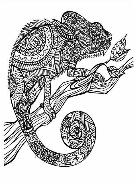 coloring pages  adults animals coloring home