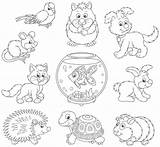 Domestici Domestic Inbegrip Huisdieren Stockillustratie Beeldverhaal Grappige Hond Domesticos As1 Gatti Petites Drole Perroquet Chien Pris Vettoriali Boek sketch template