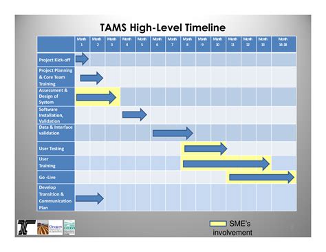 project management high level timeline templates