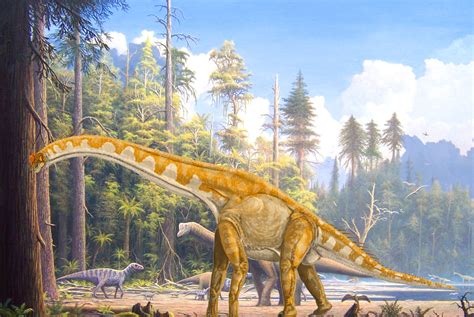 paleontologists explain evolution  sauropod dinosaurs paleontology