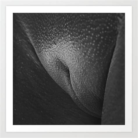 fineart closeup of a woman s vagina art print by