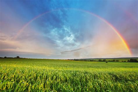 rainbows formed  sunlight  water popular science