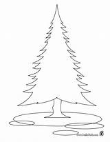 Coloring Tree Fir Pages Pine Trees Sapin Coloriage Douglas Imprimer Drawing Printable Kids Designlooter Hellokids Color Library Clipart Dessin Getdrawings sketch template