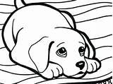 Coloring Pages Rottweiler Para Dog Bloodhound Drawing Getdrawings Printable Colorir Beagle Color Ask Pintar Imprimir Print Cute Paper Kids Clipartmag sketch template