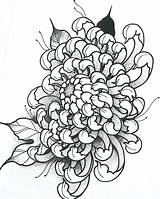 Chrysanthemum Drawing Flower Tattoo Japanese Realistic Sketch Drawings Outline Crisantemo Tattoos Designs Pencil Xăm Hình Irezumi Japan Getdrawings Flowers Paintingvalley sketch template