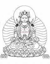 Buddha Amitayus Buddhism sketch template