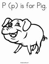 Coloring Pig sketch template