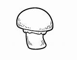 Mushroom Coloring Colorear Coloringcrew sketch template