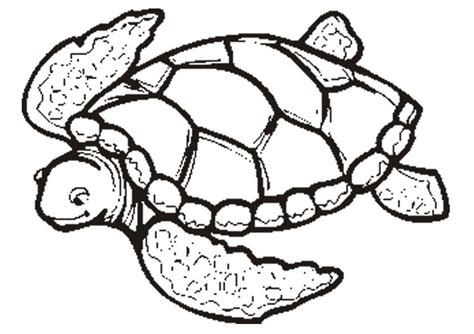 coloring pages sea turtle coloring pages