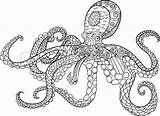 Octopus Zentangle Mandala Drawn Antistress Oceanic Gemt sketch template